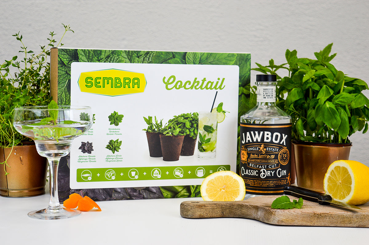 It's Friday &  International Gin & Tonic Day!