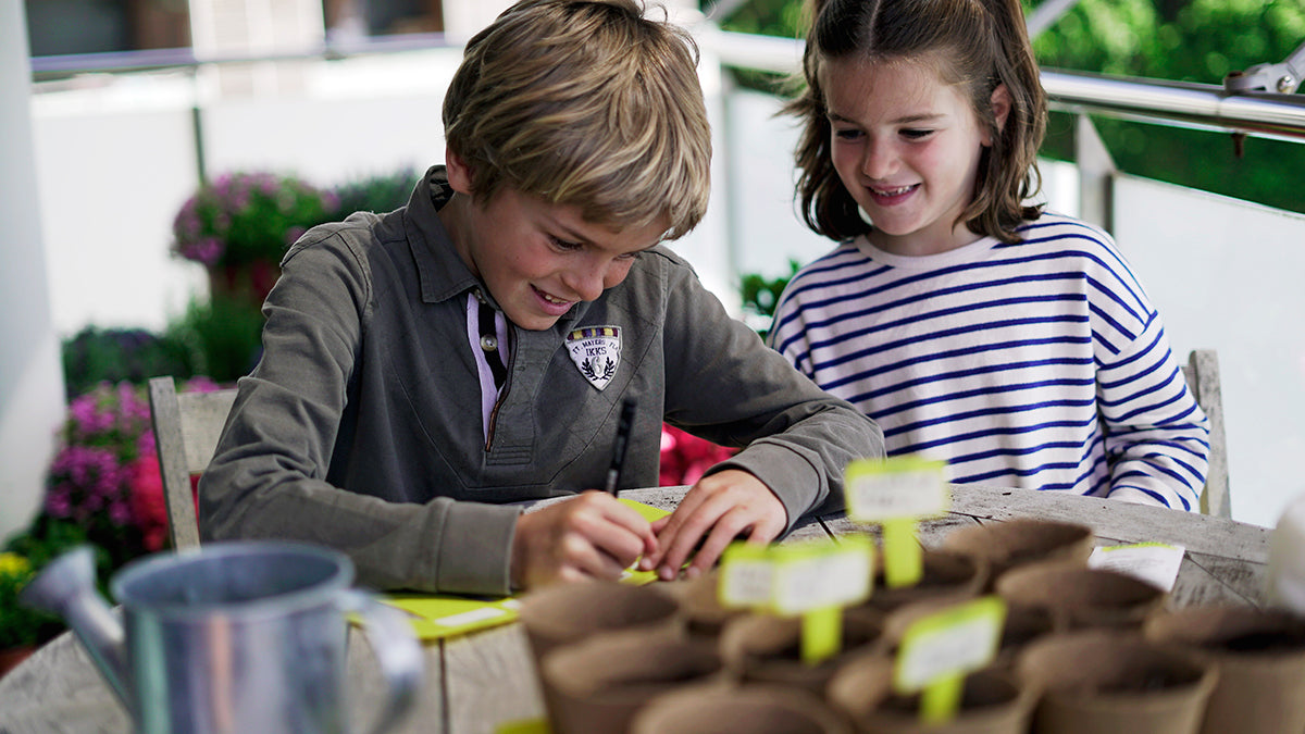 Traditional Garden Games Sembra sow and grow your own kits