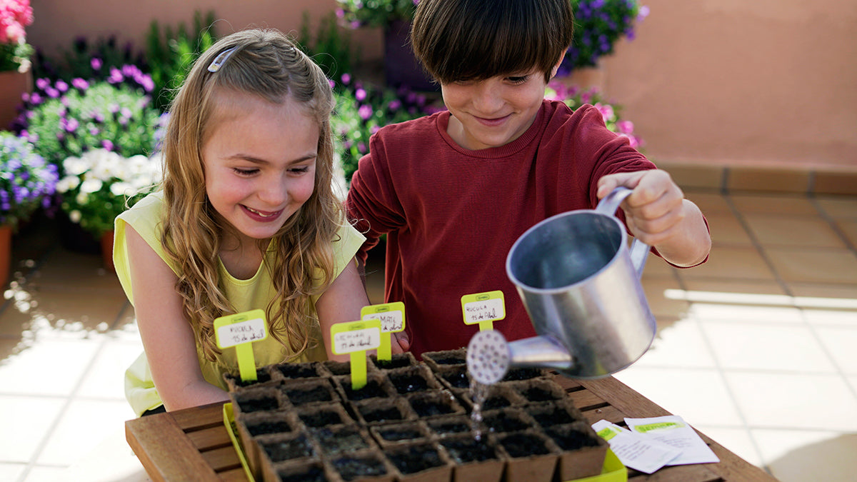 Traditional Garden Games Sembra sow and grow your own kits