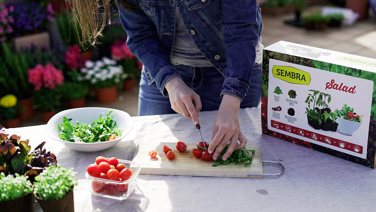 Traditional Garden Games SEMBRA  sow and grow your own salad