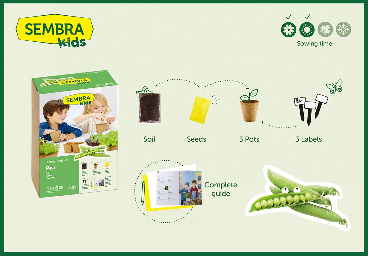 Traditional Garden Games Sembra Garden Pea Kit