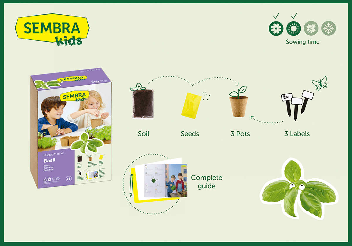 Traditional Garden Games Sembra Basil Kit