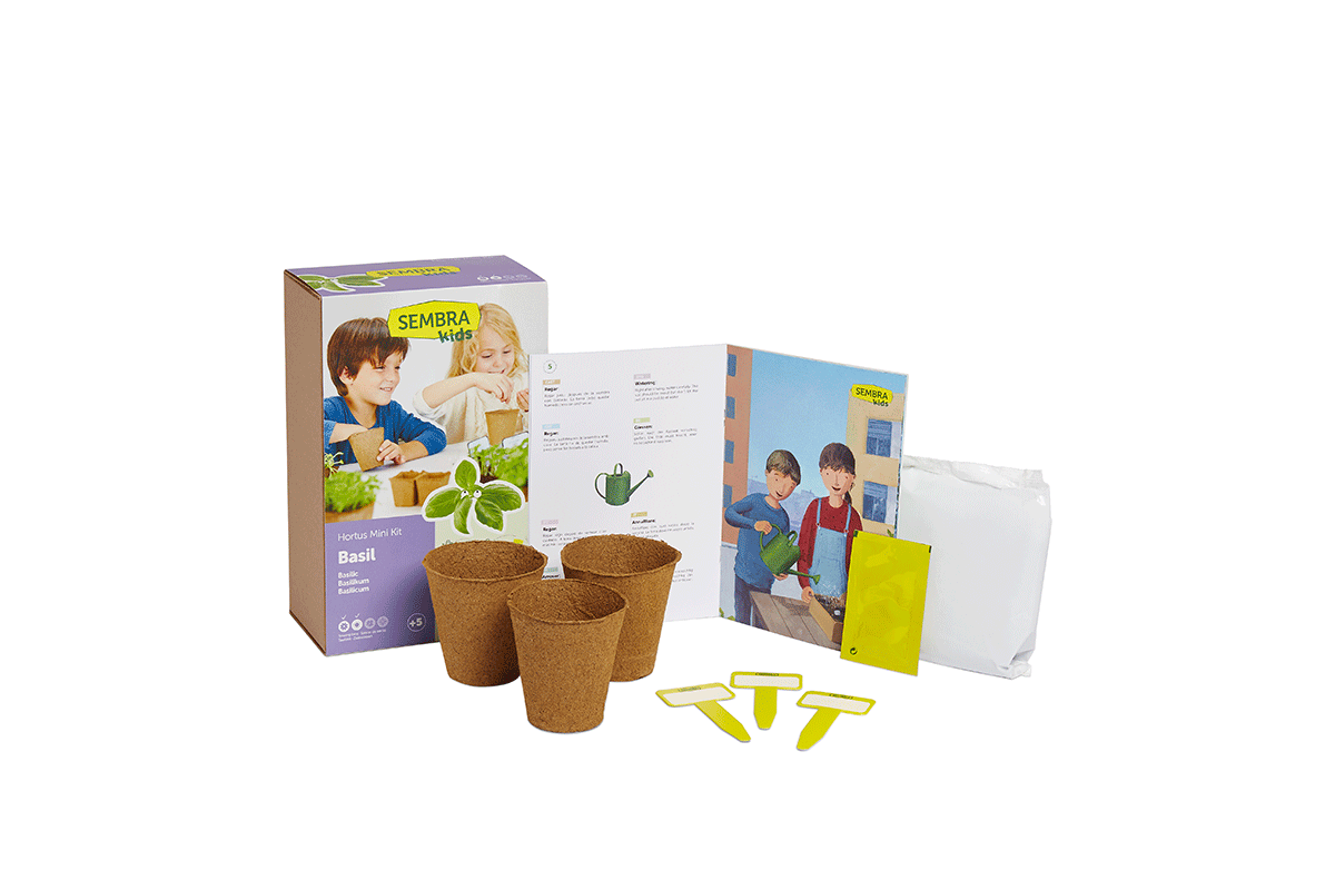 Traditional Garden Games Sembra Basil Kit
