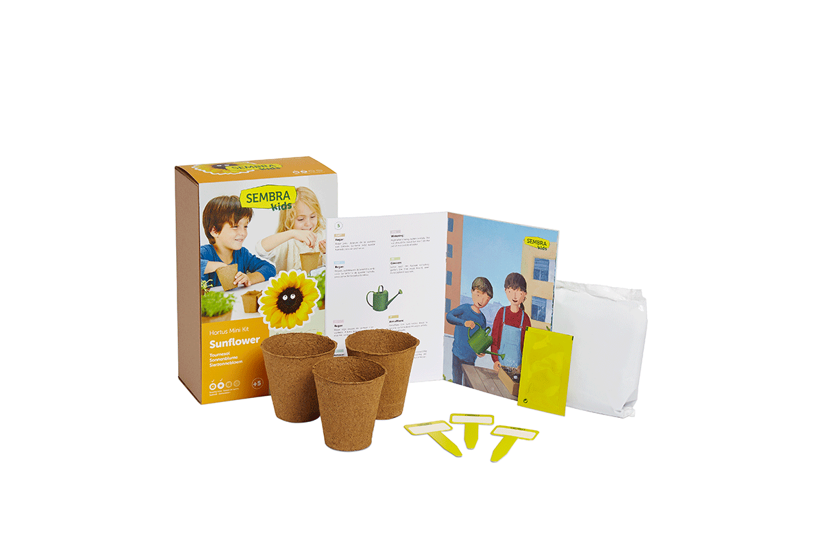 Traditional Garden Games Sembra Sunflower Kit