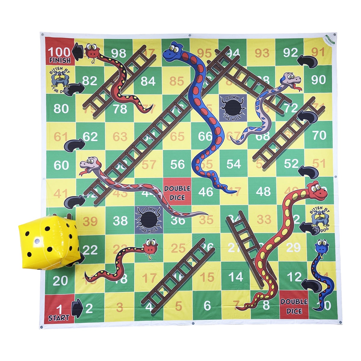 Giant Snakes and Ladders 3m x 3m
